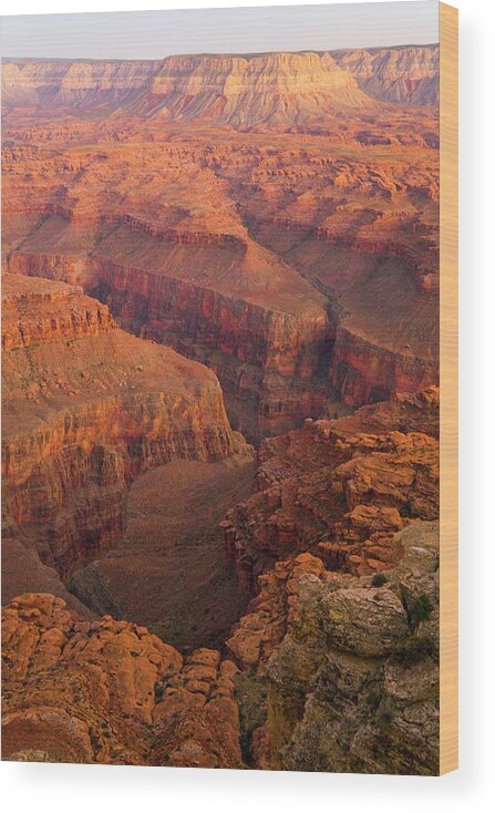 00345503 Wood Print featuring the photograph Grand Canyon from Kanab Point by Yva Momatiuk John Eastcott