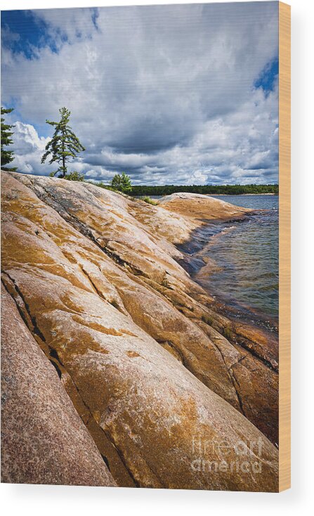 Georgian Wood Print featuring the photograph Rocky shore of Georgian Bay 3 by Elena Elisseeva