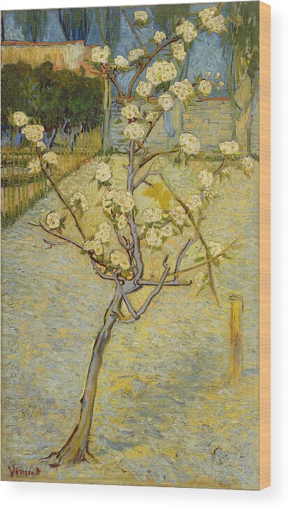 Vincent Van Gogh Wood Print featuring the painting Small Pear Tree In Blossom #1 by Vincent Van Gogh