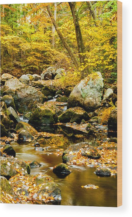 Fall Wood Print featuring the photograph Stillness and Motion #1 by Greg Fortier