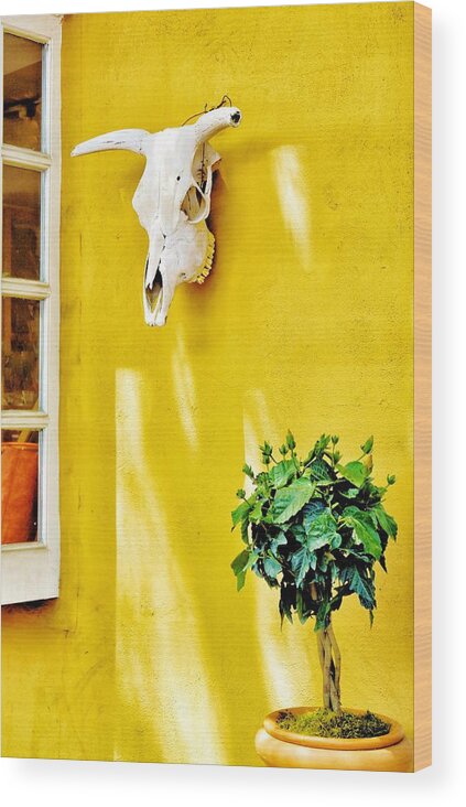 Sunlight Wood Print featuring the photograph Sunlight on Yellow Wall by Jean Goodwin Brooks