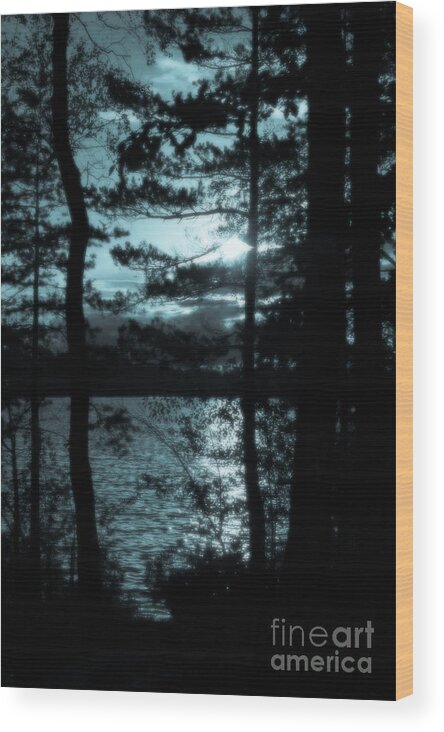 Europa Wood Print featuring the photograph Swedish lake glimpsed through trees #1 by Peter Noyce