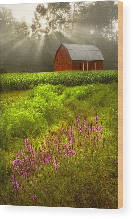 Barn Wood Print featuring the photograph Touched by the Sun #2 by Debra and Dave Vanderlaan