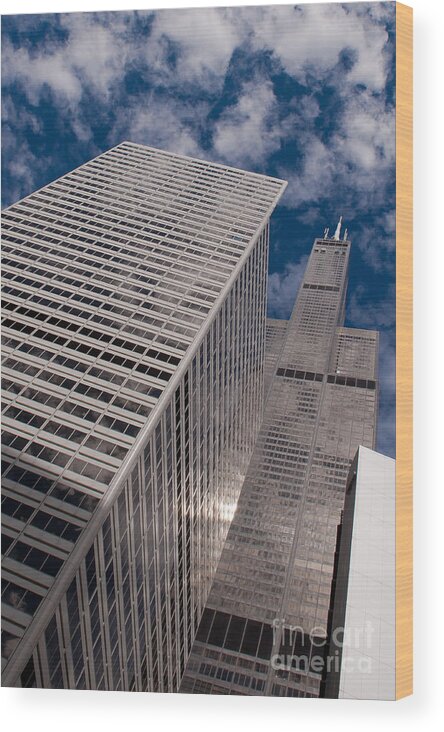 Chicago Downtown Wood Print featuring the photograph Willis Tower by Dejan Jovanovic