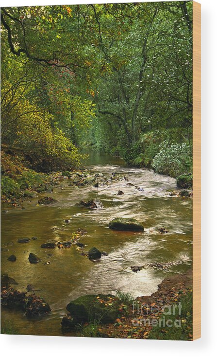 Stream Wood Print featuring the photograph Woodland Stream in Autumn #1 by Martyn Arnold