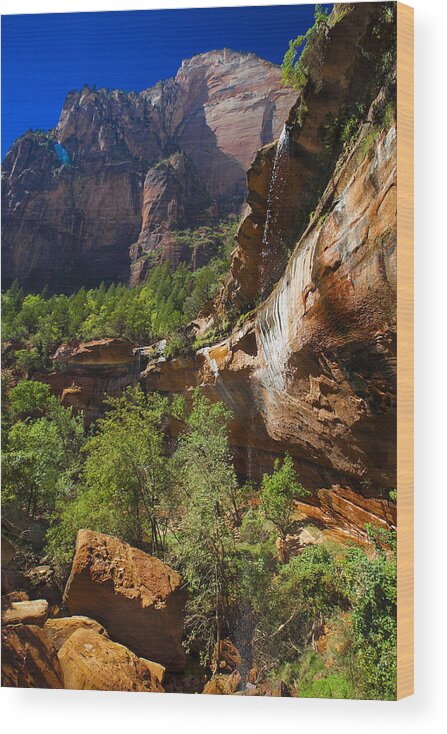 Landscape Wood Print featuring the photograph Zion National Park Utah USA #51 by Richard Wiggins