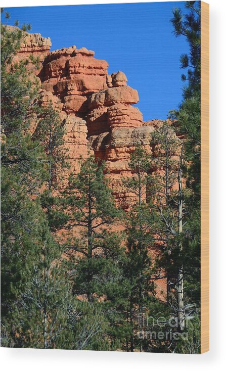Red Canyon Wood Print featuring the photograph Red Canyon #12 by Marc Bittan