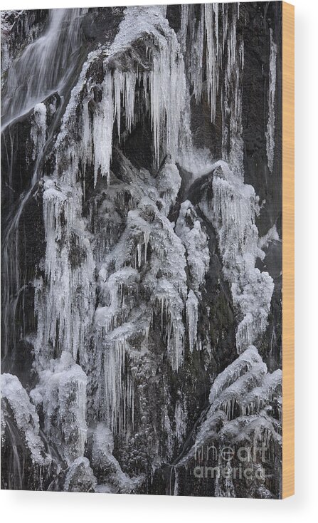 Frozen Wood Print featuring the photograph 121213p146 by Arterra Picture Library