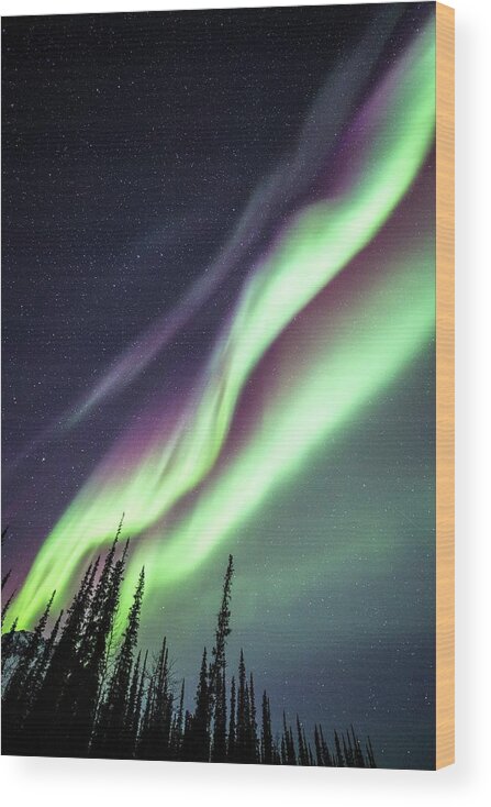 Alaska Wood Print featuring the photograph Aurora Borealis In Alaska #13 by Chris Madeley