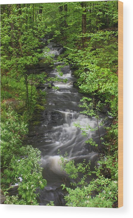Stream Wood Print featuring the photograph Roaring Brook in Spring #2 by John Burk