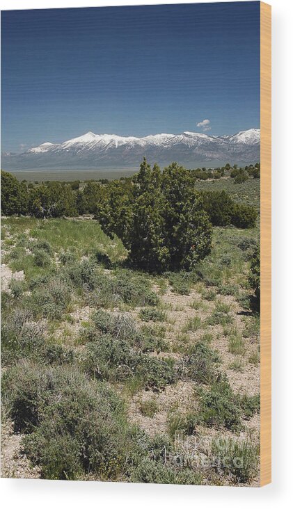 Schell Creek Range Wood Print featuring the photograph 614P Schell Creek Range NV by NightVisions