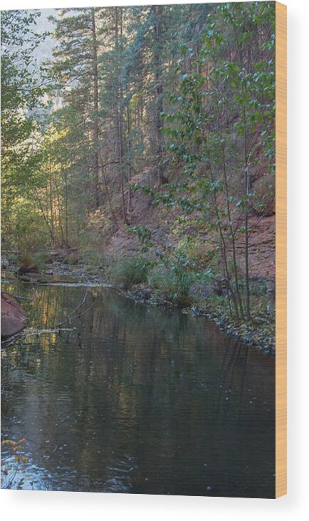 Snow Wood Print featuring the photograph West Fork #4 by Tam Ryan