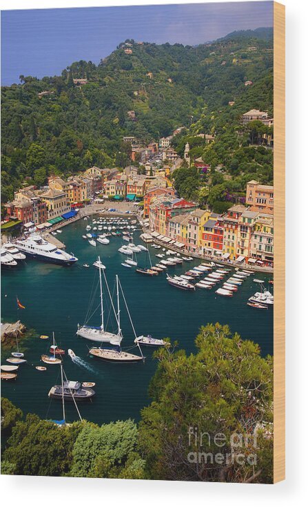 Portofino Wood Print featuring the photograph Portofino #1 by Brian Jannsen