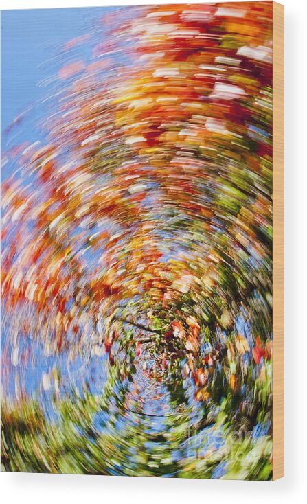 Autumn Wood Print featuring the photograph Fall Abstract #4 by Steven Ralser