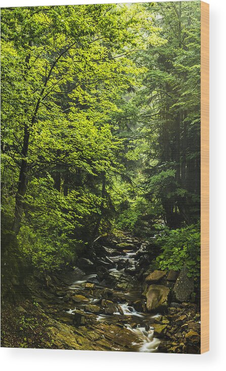 Background Wood Print featuring the photograph Mountain stream #4 by Jaroslaw Grudzinski