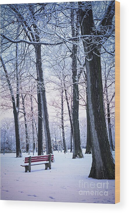 Winter Wood Print featuring the photograph Winter park 2 by Elena Elisseeva