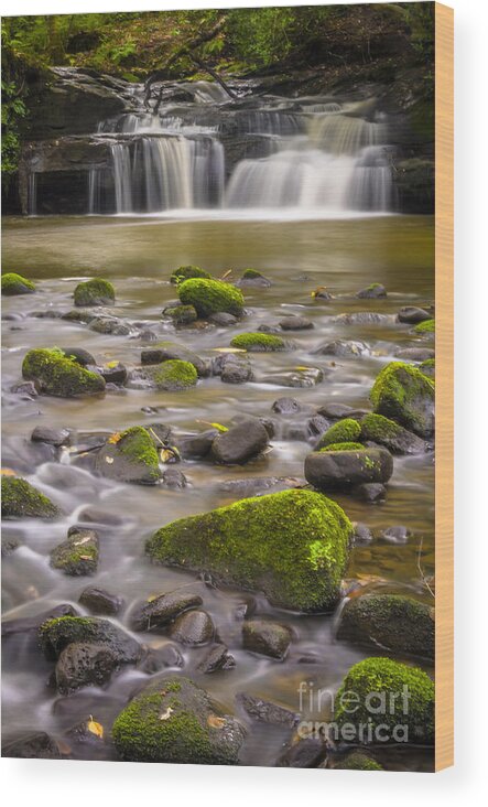 Airedale Wood Print featuring the photograph Goit Stock Waterfall by Mariusz Talarek