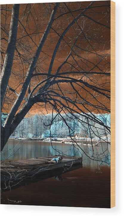 Boy Wood Print featuring the photograph Quiet Moments #1 by Rebecca Parker