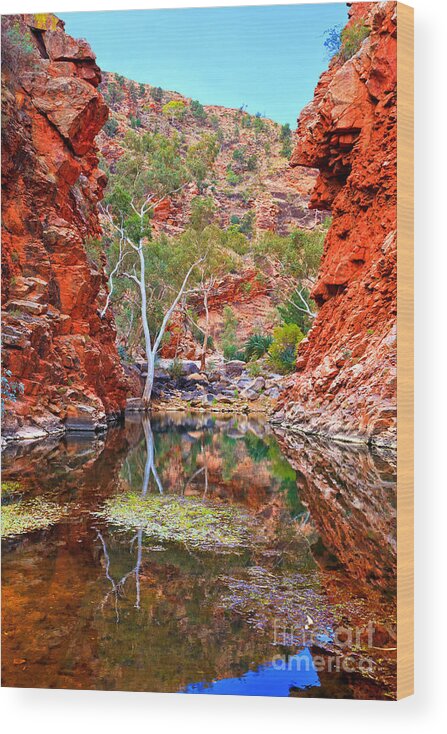 Serpentine Gorge Central Australia Northern Territory Outback Landscape Australian Gum Tree Water Hole Wood Print featuring the photograph Serpentine Gorge Central Australia by Bill Robinson