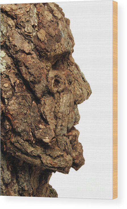 Art Wood Print featuring the mixed media Revered  A natural portrait bust sculpture by Adam Long #7 by Adam Long