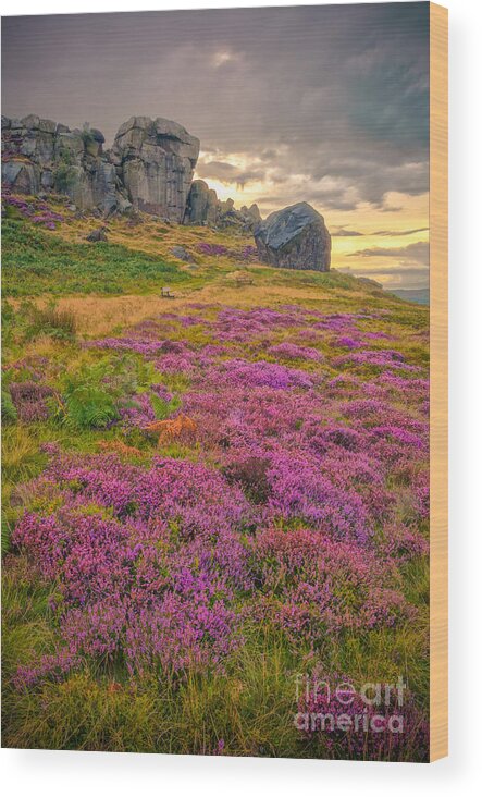 Airedale Wood Print featuring the photograph Cow and Calf Rocks by Mariusz Talarek