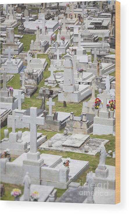 Del Morro Wood Print featuring the photograph A Cemetery In Old San Juan Puerto Rico by Bryan Mullennix
