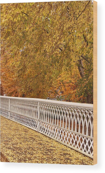 Chattanooga Wood Print featuring the photograph A Quiet Day on the Riverwalk by Tom and Pat Cory