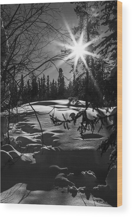 Sun Wood Print featuring the photograph A Ray of Sunshine by Valerie Pond