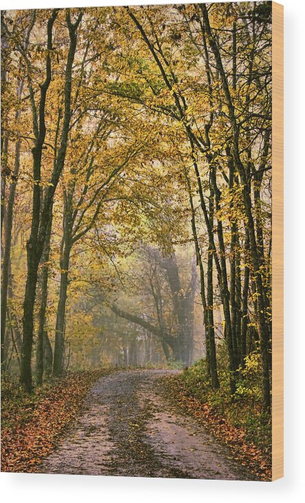 Fog Wood Print featuring the photograph A Touch of Gold by Cricket Hackmann