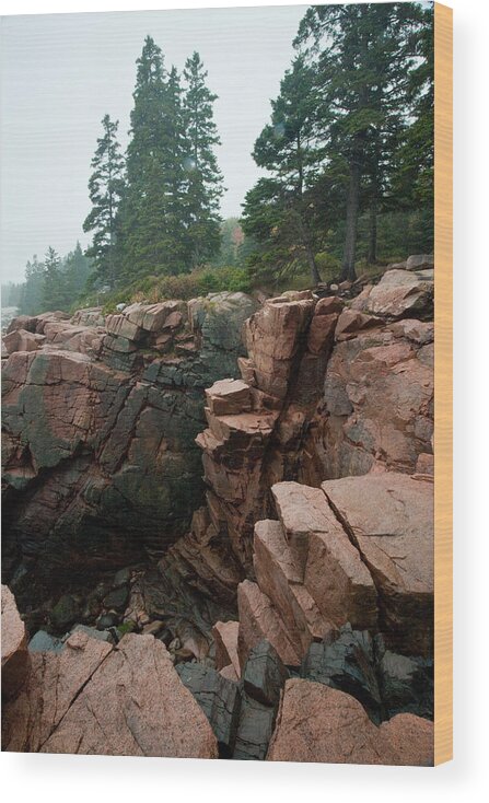 Landscape Wood Print featuring the photograph Acadia Fog near Monument Cove 4336 by Brent L Ander