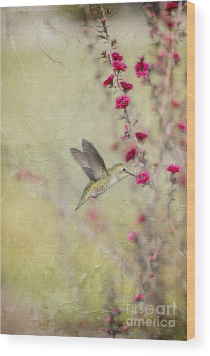 Hummingbird Wood Print featuring the digital art Allen's Hummingbird with Red Wildflowers by Susan Gary