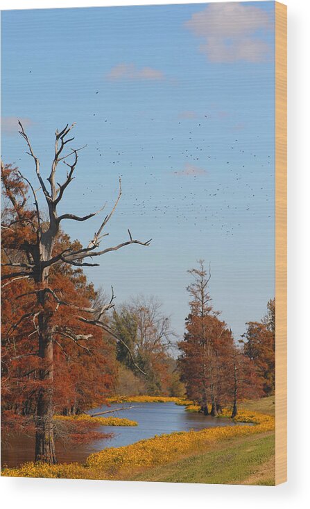 Autumn Wood Print featuring the photograph Along The Creek by Karen Wagner