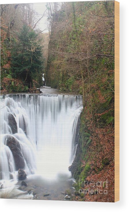 Water Wood Print featuring the photograph Alva Glen Waterfalls by David Grant