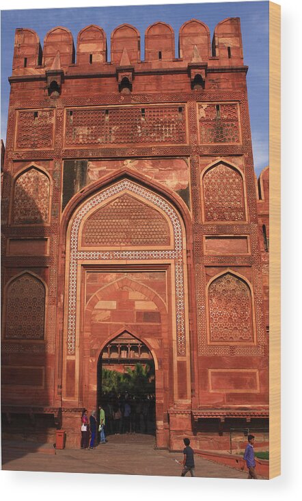 India Wood Print featuring the photograph Amar Singh Gate Red Fort Agra by Aidan Moran