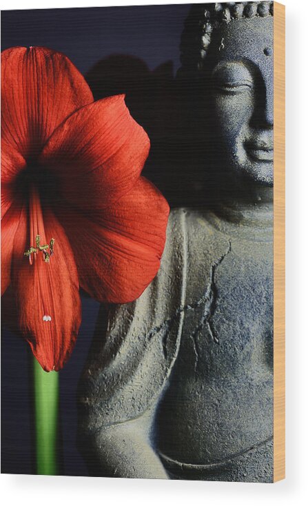 Amaryllis Wood Print featuring the photograph Amaryllis Buddha by Falko Follert