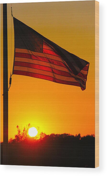 American Flag Wood Print featuring the photograph American Heritage by Mitch Cat