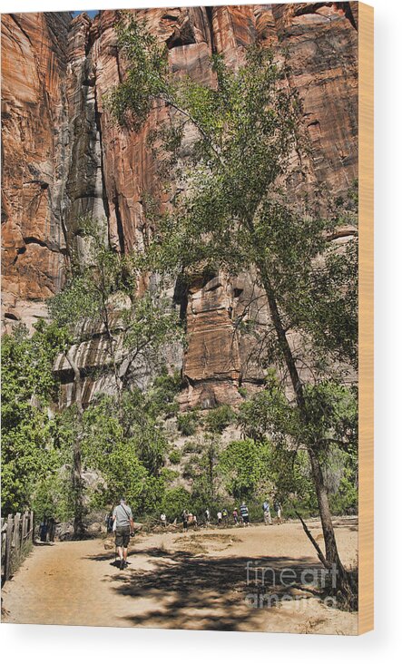 Zion Wood Print featuring the photograph Angel Landing in Zion by Brenda Kean
