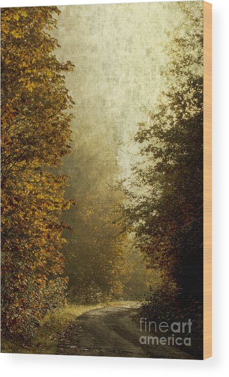 Fall Color Wood Print featuring the photograph Another Road Travelled by Belinda Greb