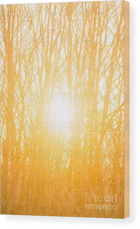Sunrise Wood Print featuring the photograph April Sunrise by Diane Diederich