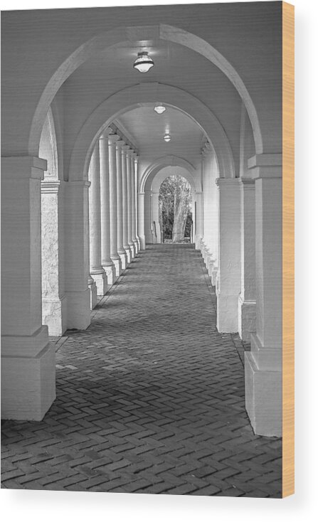Uva Wood Print featuring the photograph Arches at the Rotunda at University of VA 2 by Jerry Gammon