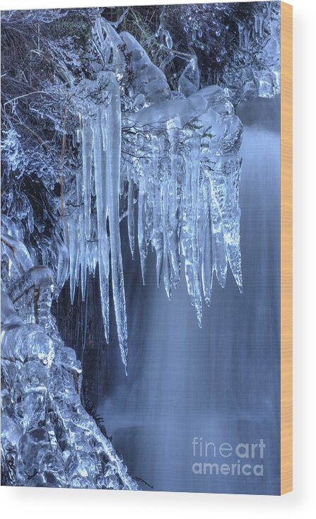 Ice Wood Print featuring the photograph Artistry In Ice 16 by David Birchall