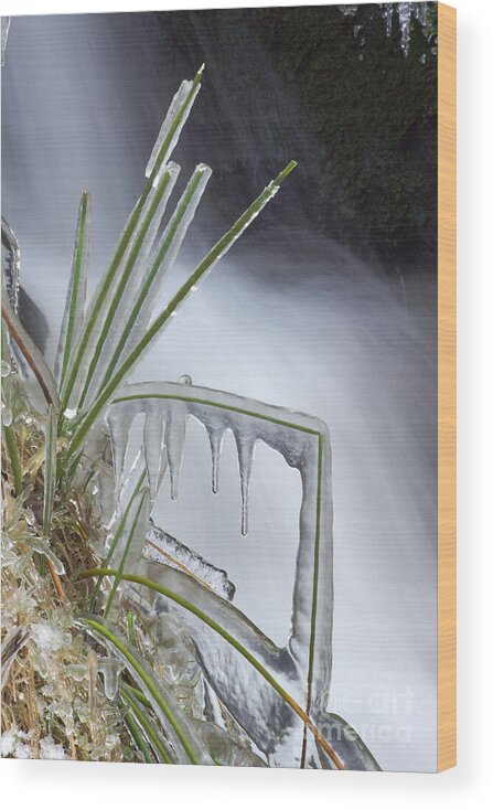 Ice Wood Print featuring the photograph Artistry in Ice 31 by David Birchall