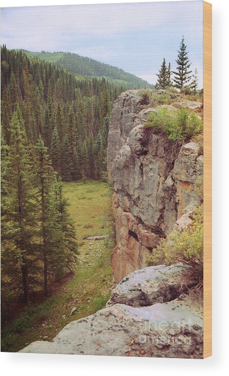 Blue Wood Print featuring the photograph Aspen Cliff by Teri Atkins Brown