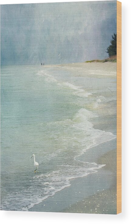 Seascape Wood Print featuring the photograph At the Beach - Captiva Island by Kim Hojnacki