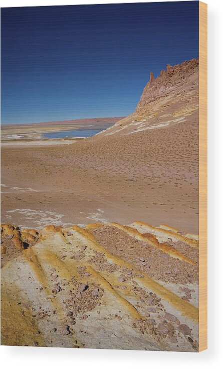 Tranquility Wood Print featuring the photograph Atacama Desert Lagoon And Rock by Universal Stopping Point Photography