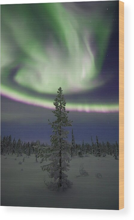 Extreme Terrain Wood Print featuring the photograph Aurora Borealis Over A Frozen Forest by Antonyspencer