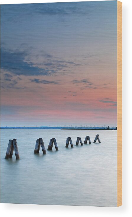 Tranquility Wood Print featuring the photograph Austria, Burgenland, View Of Piles On by Westend61