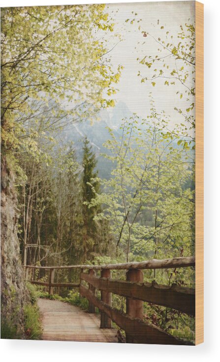 Austria Wood Print featuring the photograph Austrian Woodland Trail and Mountain View by Brooke T Ryan