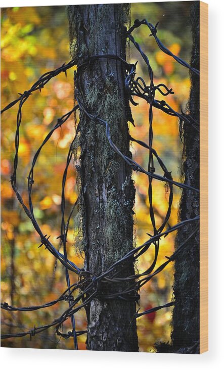 Abstract Wood Print featuring the photograph Autumn Colors 1 by Newel Hunter