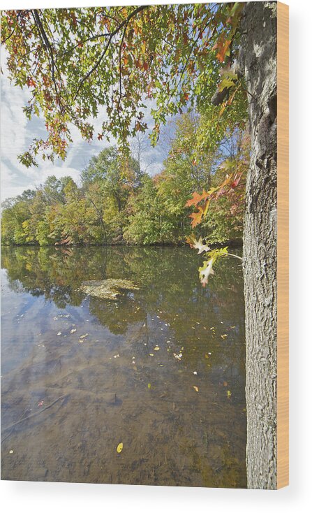 Autumn Wood Print featuring the photograph Autumn Colors on the Delaware and Raritan Canal by David Letts